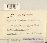 Image Associated With the Occurrence