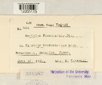 Aecidium plantaginis image