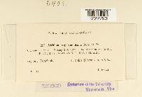 Image Associated With the Occurrence