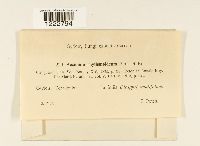 Image Associated With the Occurrence