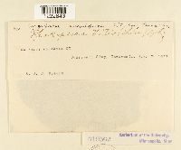 Image Associated With the Occurrence