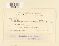 Image Associated With the Occurrence