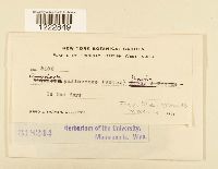 Image Associated With the Occurrence