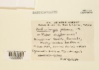 Arthuriomyces peckianus image