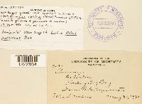 Arthuriomyces peckianus image