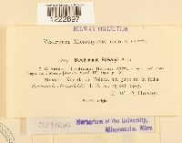 Image Associated With the Occurrence