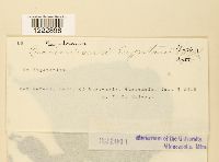 Image Associated With the Occurrence