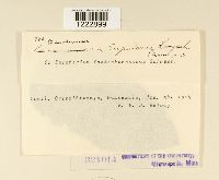 Image Associated With the Occurrence