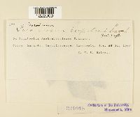 Image Associated With the Occurrence