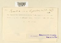 Image Associated With the Occurrence