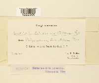 Image Associated With the Occurrence