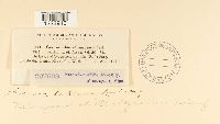 Media resource of Caeoma abietis-canadensis