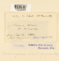 Image Associated With the Occurrence