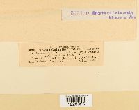 Image Associated With the Occurrence