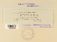 Image Associated With the Occurrence