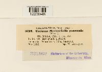 Image Associated With the Occurrence