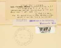 Image Associated With the Occurrence