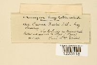 Image Associated With the Occurrence