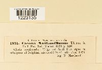 Image Associated With the Occurrence