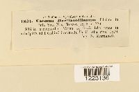 Image Associated With the Occurrence