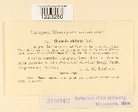 Image Associated With the Occurrence