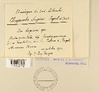 Image Associated With the Occurrence