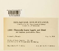 Image Associated With the Occurrence