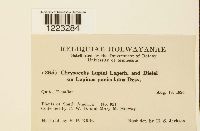 Image Associated With the Occurrence