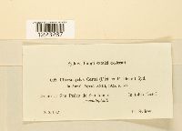 Image Associated With the Occurrence