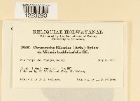 Image Associated With the Occurrence