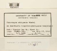 Image Associated With the Occurrence