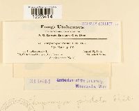 Image Associated With the Occurrence