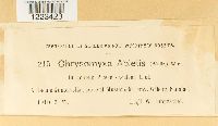 Chrysomyxa abietis image