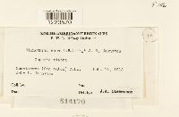 Image Associated With the Occurrence