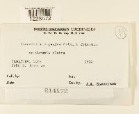 Image Associated With the Occurrence