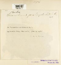 Image Associated With the Occurrence