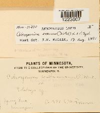 Image Associated With the Occurrence