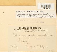 Image Associated With the Occurrence