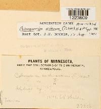 Image Associated With the Occurrence