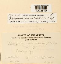 Image Associated With the Occurrence