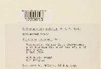 Image Associated With the Occurrence