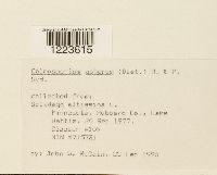 Image Associated With the Occurrence