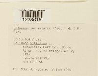 Image Associated With the Occurrence