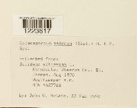 Image Associated With the Occurrence