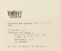 Image Associated With the Occurrence