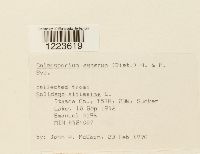 Image Associated With the Occurrence