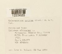 Image Associated With the Occurrence