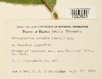 Image Associated With the Occurrence