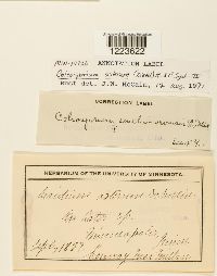 Image Associated With the Occurrence