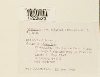 Image Associated With the Occurrence